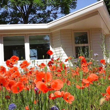 ヒルフェルスム Het Findament Tiny Houseヴィラ エクステリア 写真
